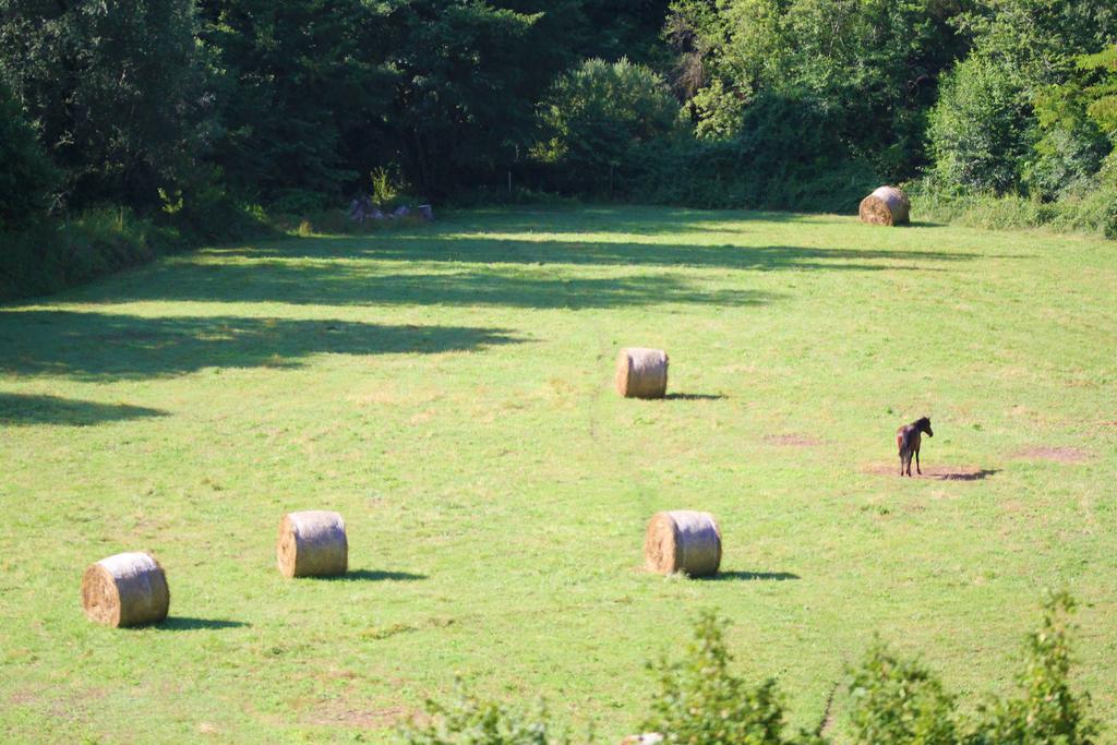 Casale La Palombara Farm stay